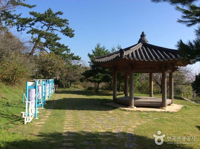 전남_강진_보은산01