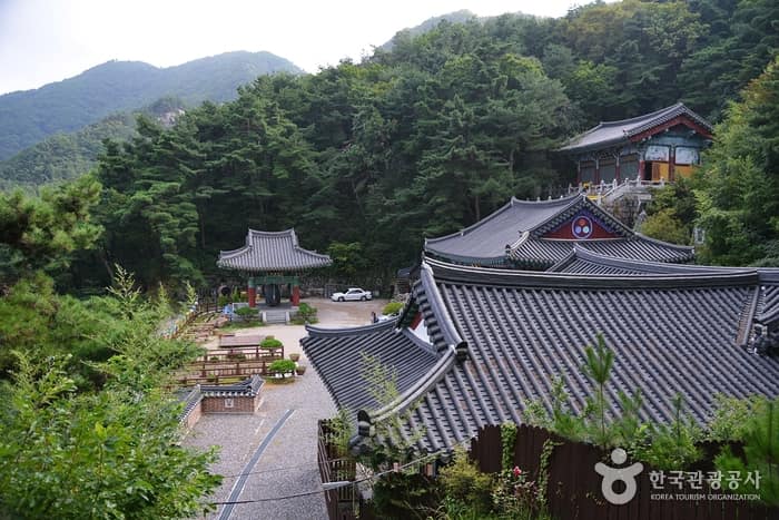 충북_옥천_우리가 떠나온 옛 고향 찾아가는 길, 옥천 정지용문학관_12