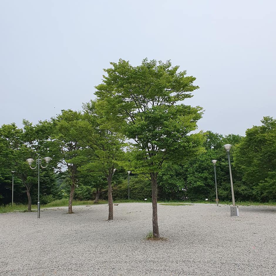 경기도_광주시_경기도청소년야영장_캠핑장2