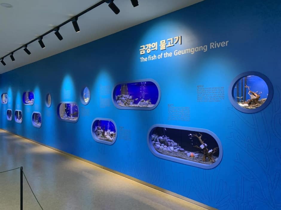 금강미래체험관 (2)