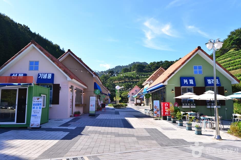 전남_보성_다향아트밸리 (1)