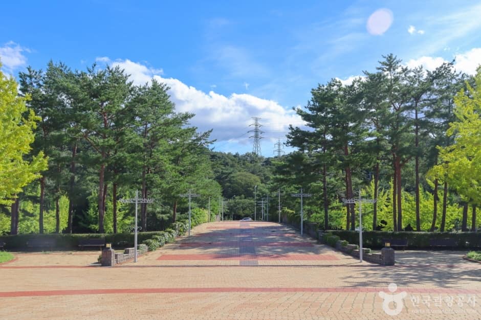 울산대공원 (6)