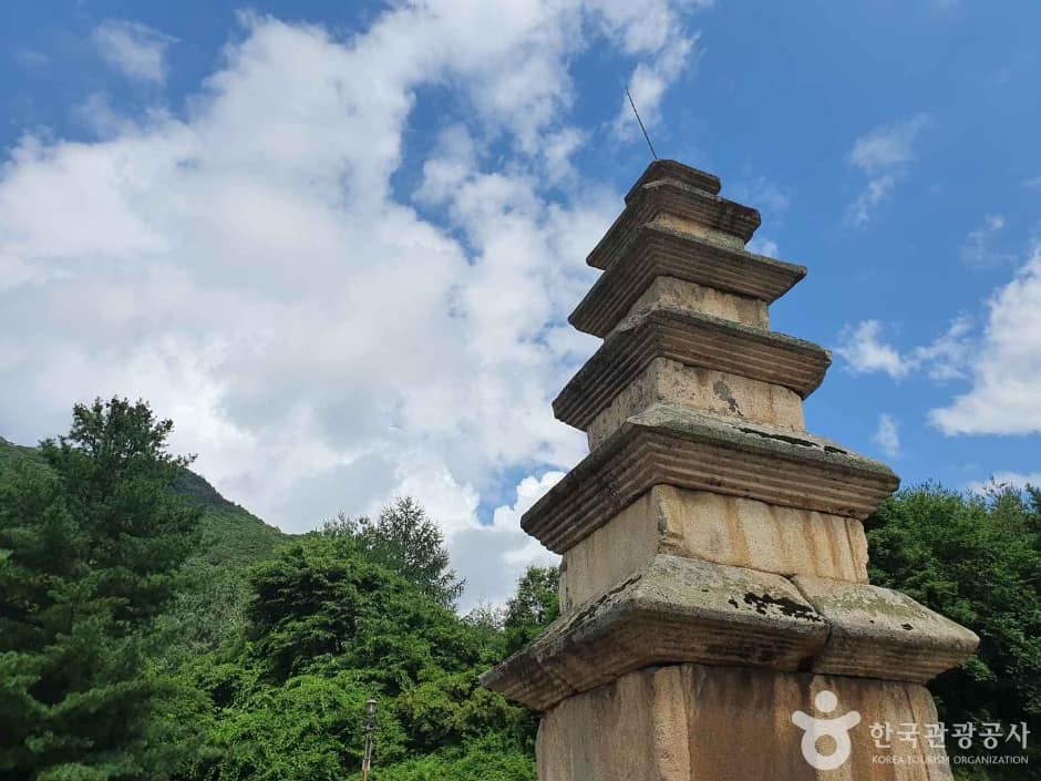 충주_충주 미륵리 오층석탑 (5)