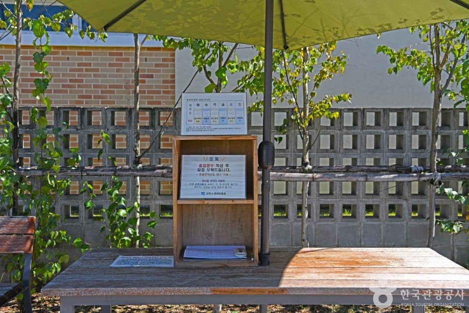 강원_춘천_춘천시 반려견놀이터 같이놀개 (7)