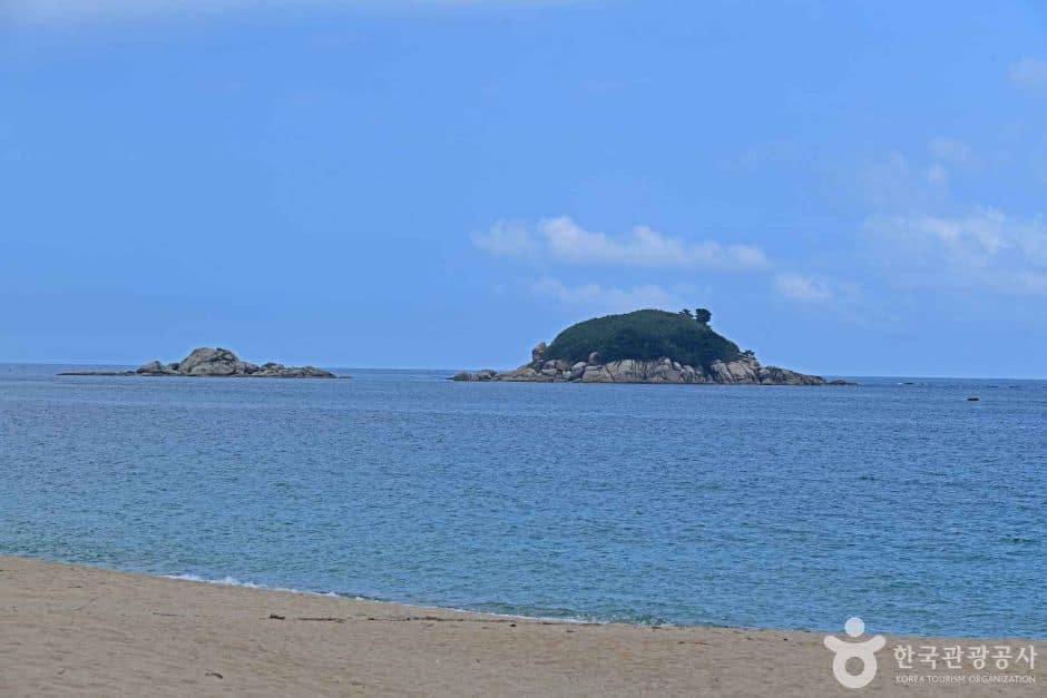 켄싱턴해변 (6)