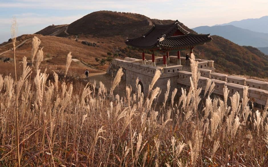 산청_황매산(산청) (9)