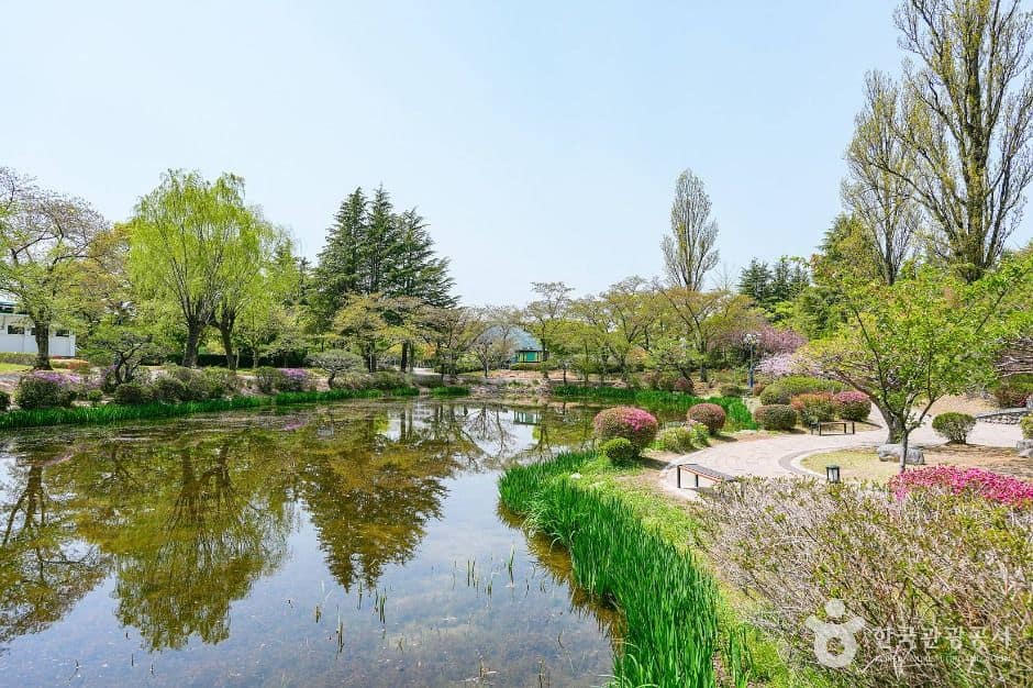 경주_보문정(경주) (5)