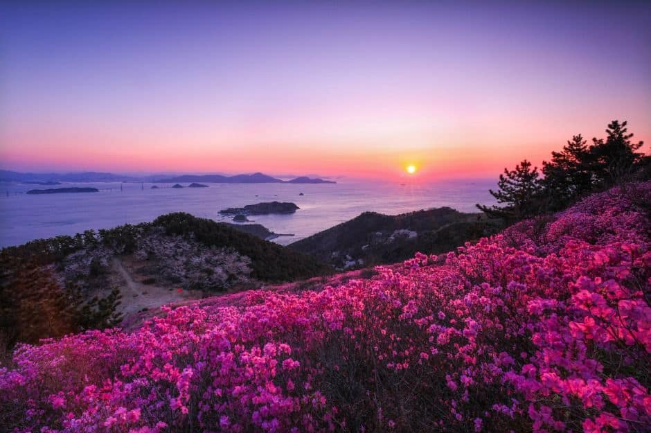 거제_대금산(거제) (4)