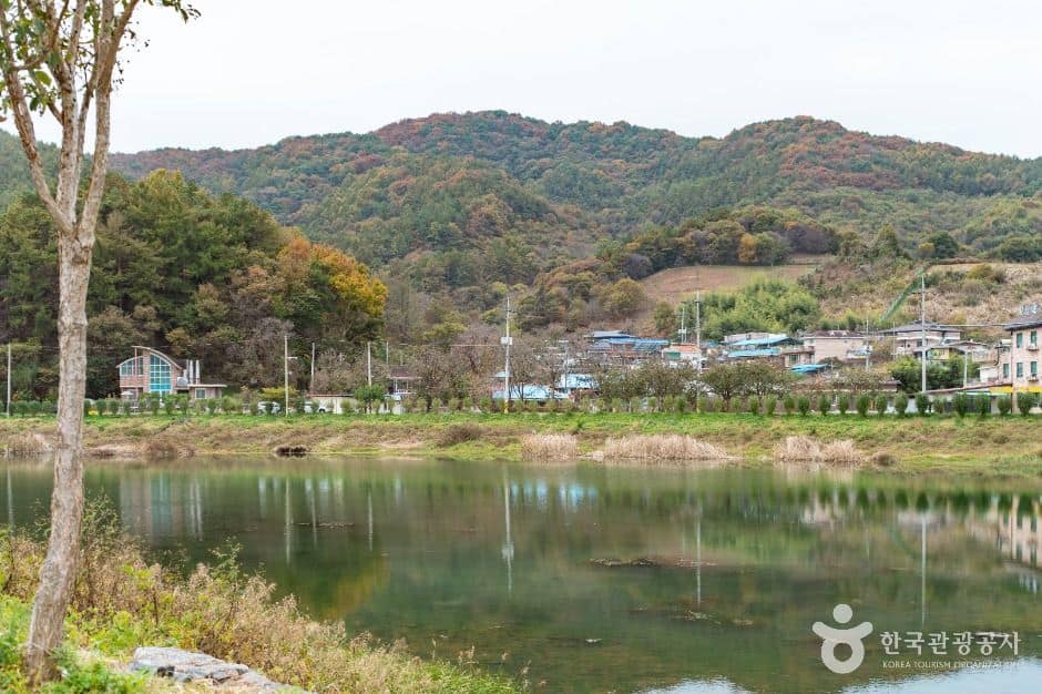논산_도정딸기마을 (4)