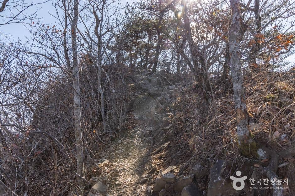 정읍_연자봉 (4)