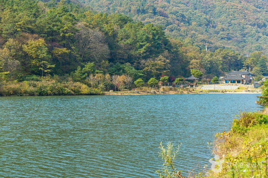 완주_오성제 저수지 (6)