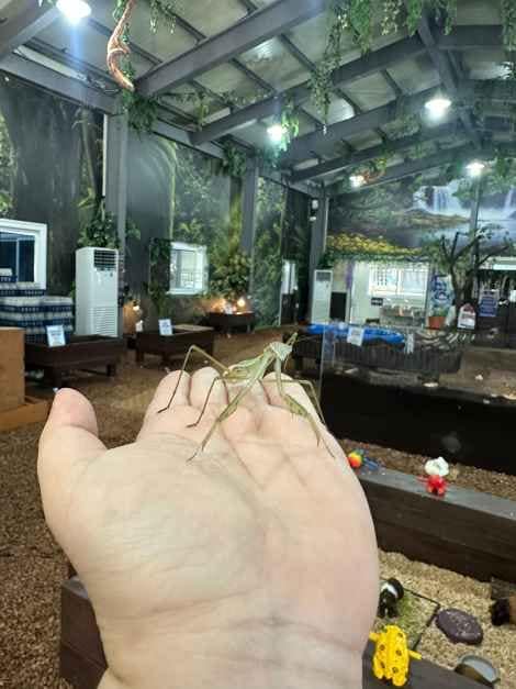 인천_굼벵이브라더스 (6).jpg