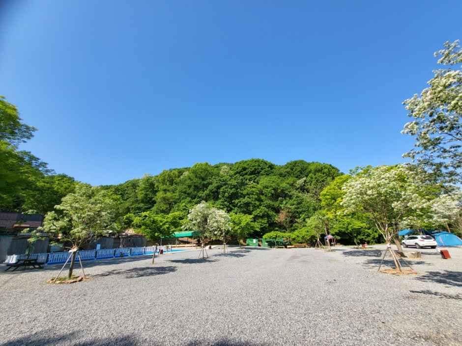 용인_젤코바캠핑장 (2).jpg