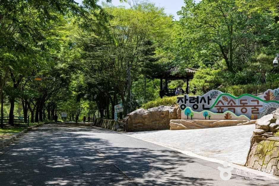 옥천_장령산자연휴양림 (8).jpg