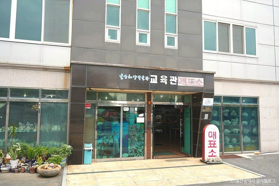 울산_울산해양박물관 (5).jpg
