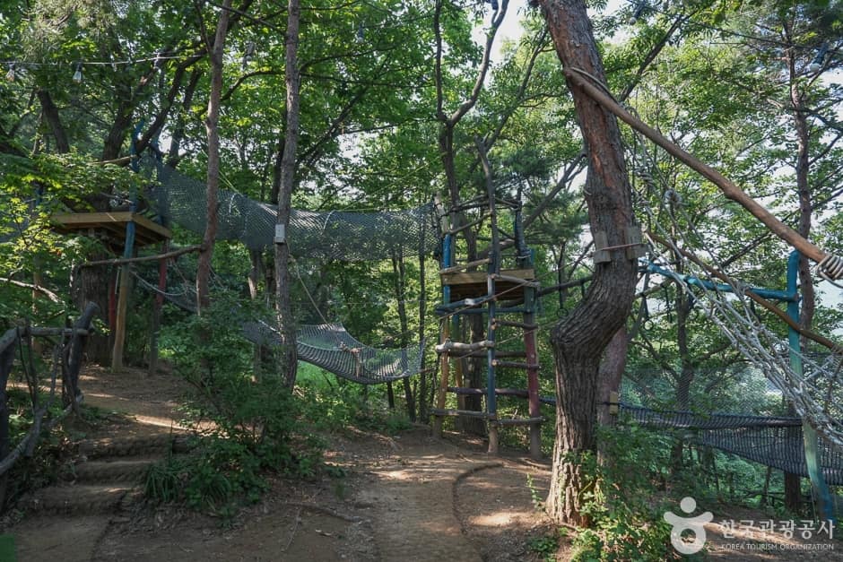 톰아저씨 트리하우스(9)
