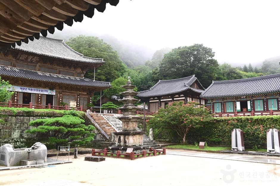 전남_구례_구례 관광특구 (32)