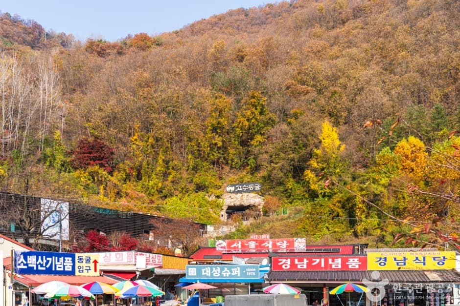 충북_단양_단양관광특구(3)