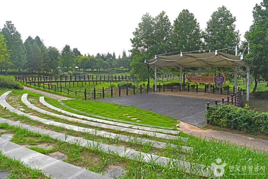 전북_완주_둔산공원 (2)