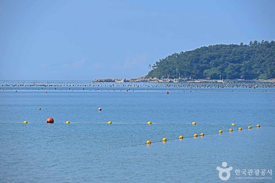 금갑해변 (6)