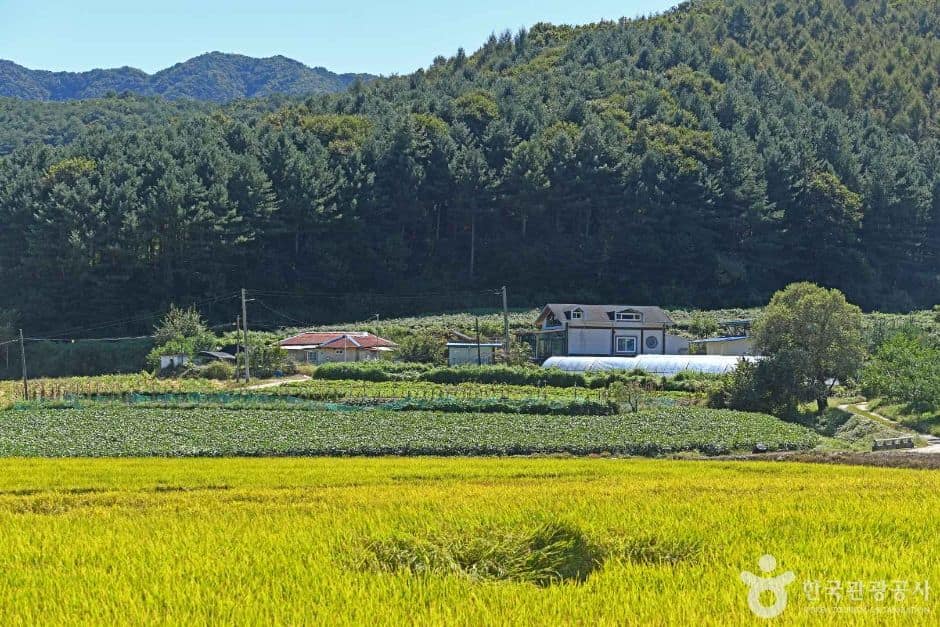 강원_춘천_춘천 솔바우마을_ (5)