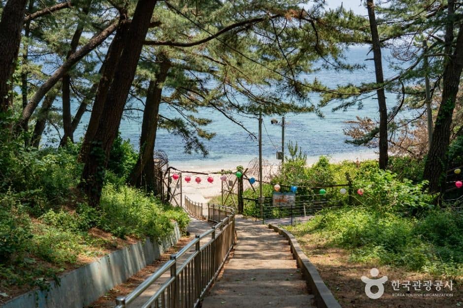 동해_감추해변 (1)