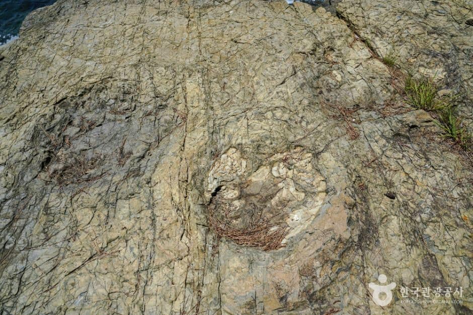 고성_동해면 작은 구학포 공룡 화석지 (1)