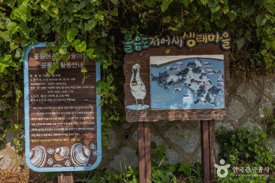 강화_볼음도(저어새 생태마을) (6)