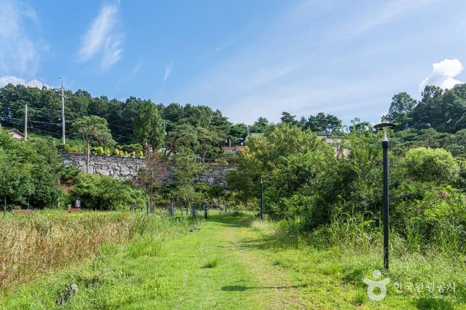 대덕_삼정생태공원 (2)