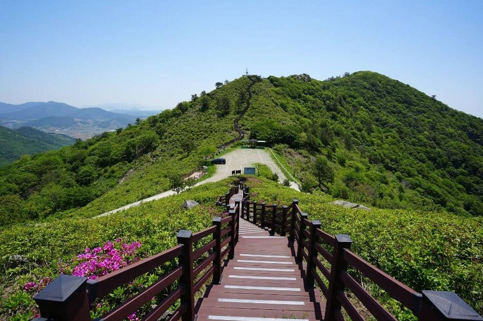 고흥_천등산(고흥) (2)