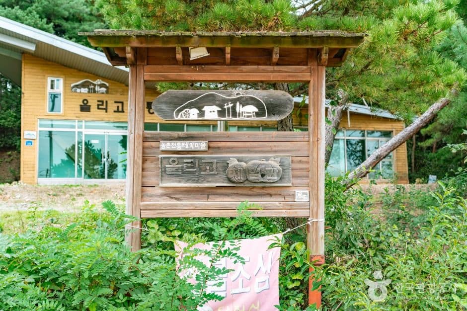당진_단호박올리고마을 (1)