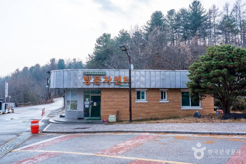 안동_안동호반자연휴양림 (7)