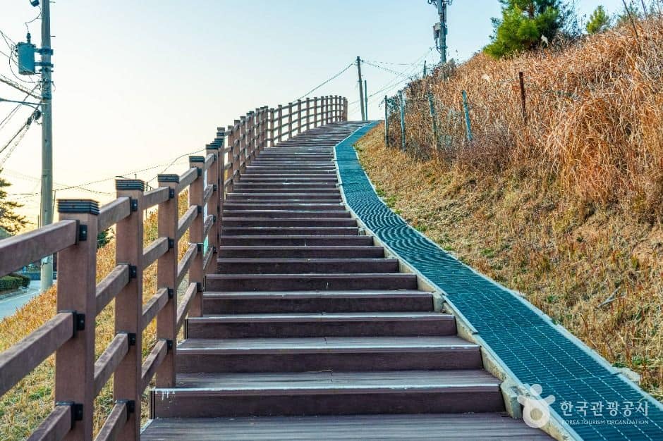 부산_[부산 갈맷길] 5코스 (9)
