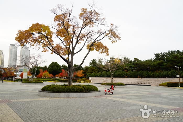 무장애_울산_울산남구문화원01