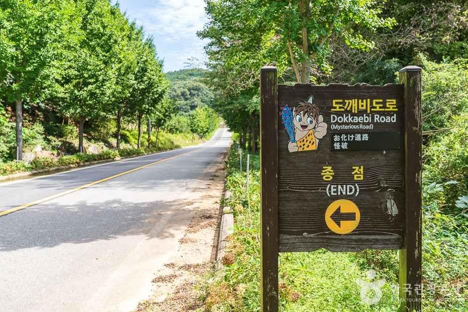비암사 도깨비도로 (2)