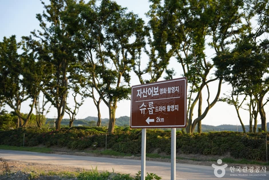 자산어보 촬영지 (1)