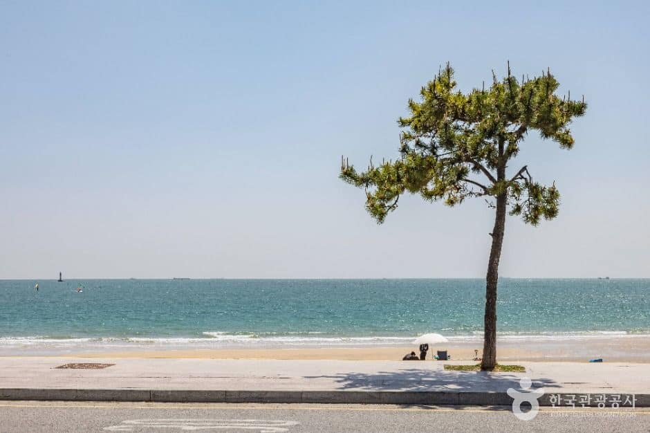 부산_송정해수욕장 (2)
