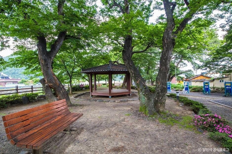 밀양_밀양숲속마을 (5)