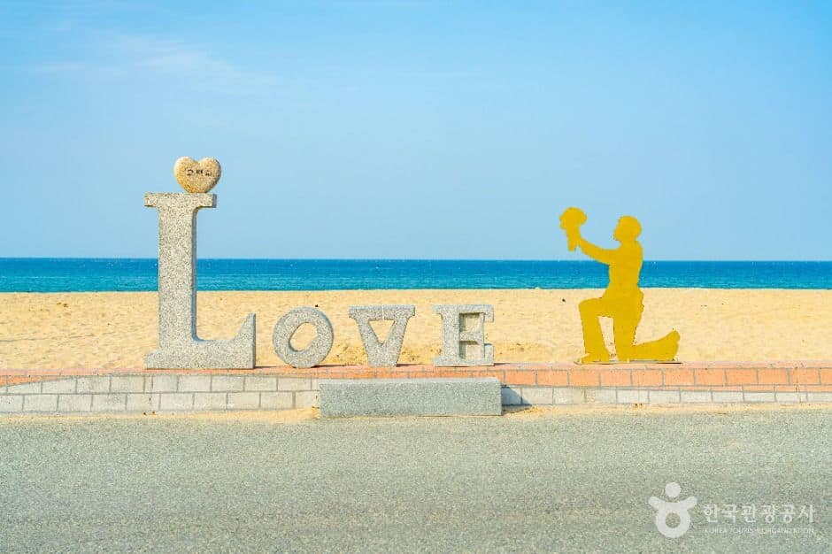 영덕_고래불해수욕장 (15)