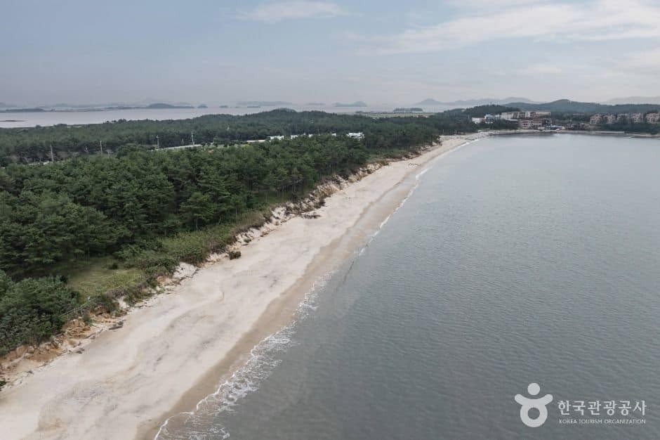 신안_증도 우전해수욕장 (6)
