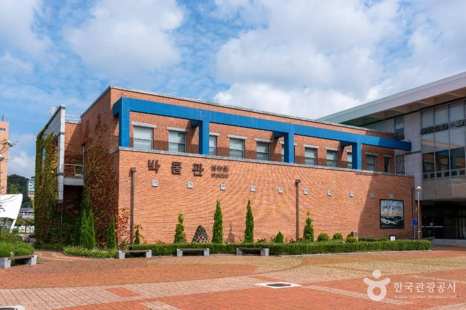 군산_국립군산대학교 박물관 (1)