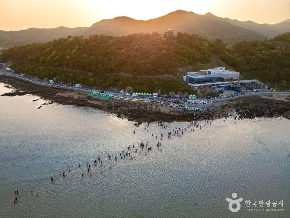 진도_진도 신비의 바닷길 (6)