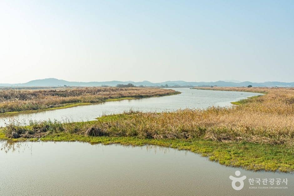 해남_산이반도 (2)