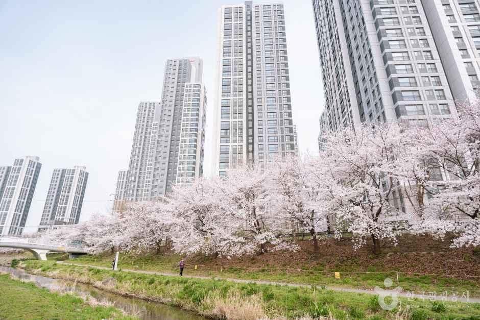 충남_천안_원성천_외부_6.jpg