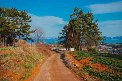 [남해바래길 15코스] 구두산목장길