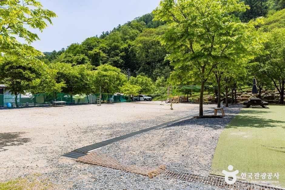 제천_옥전캠핑장 (4).jpg