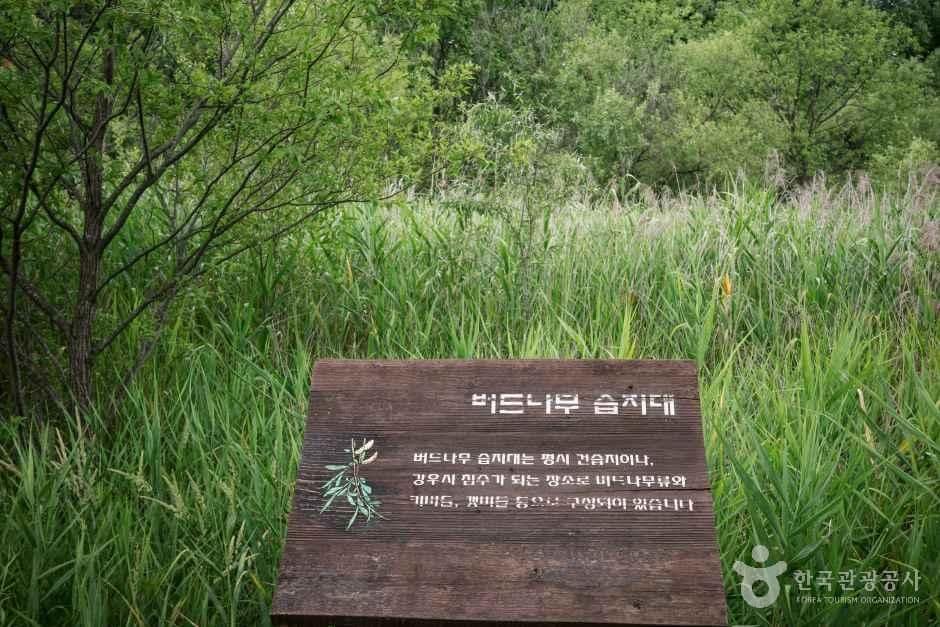 인천_계양_경인아라뱃길귤현나루_외부_8.jpg