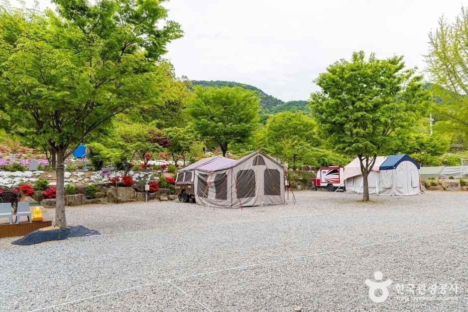 괴산_괴산 도명산 오토캠핑장 (4).jpg