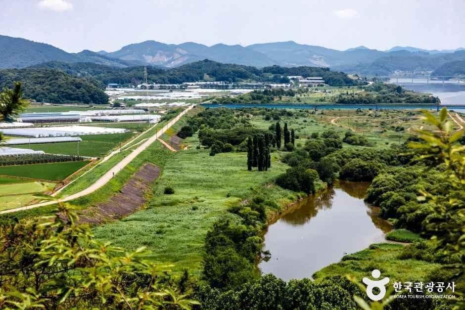 충남_부여_천정대_외부_5-1.jpg