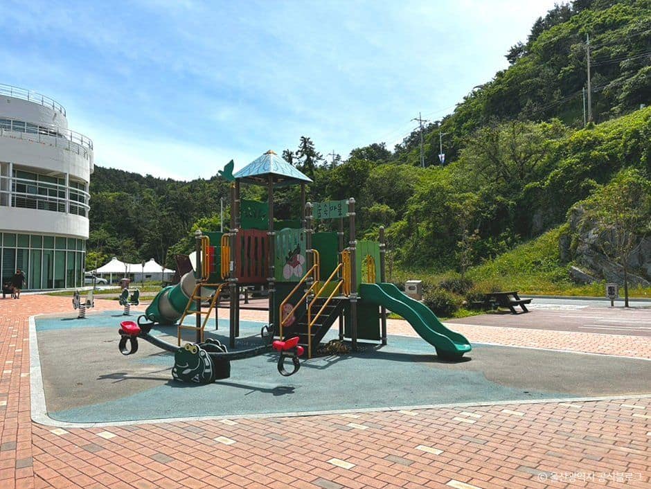울산_울주해양레포츠센터 (1).jpg